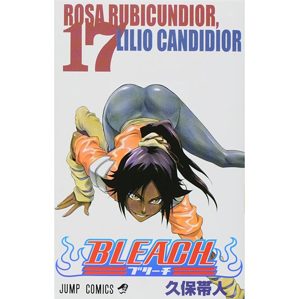 Bleach Volume 17 Japanese manga cover