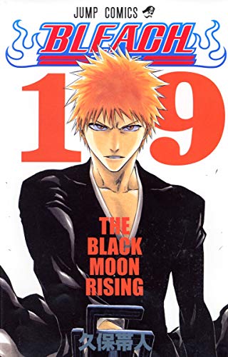 Bleach Volume 19 Japanese manga cover