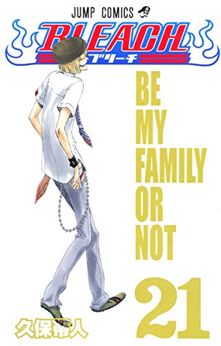 Bleach Volume 21 Japanese manga cover