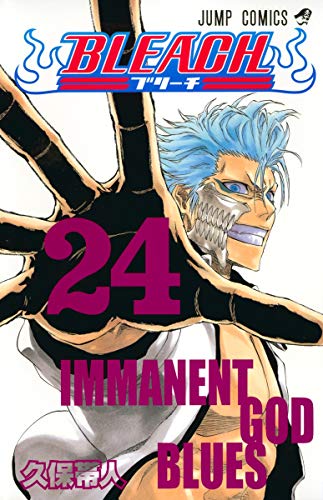 Bleach Volume 24 Japanese manga cover