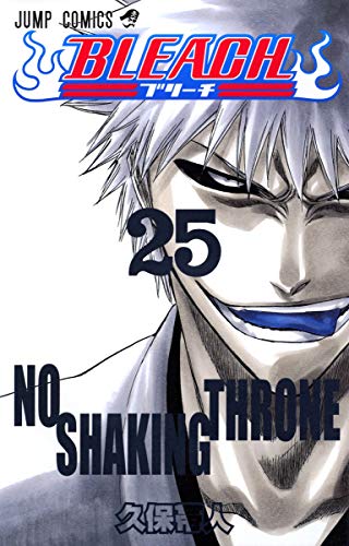 Bleach Volume 25 Japanese manga cover