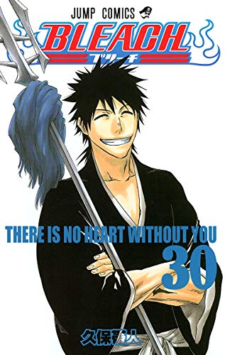 Bleach Volume 30 Japanese manga cover