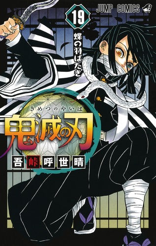 Demon Slayer Volume 19 Japanese manga cover