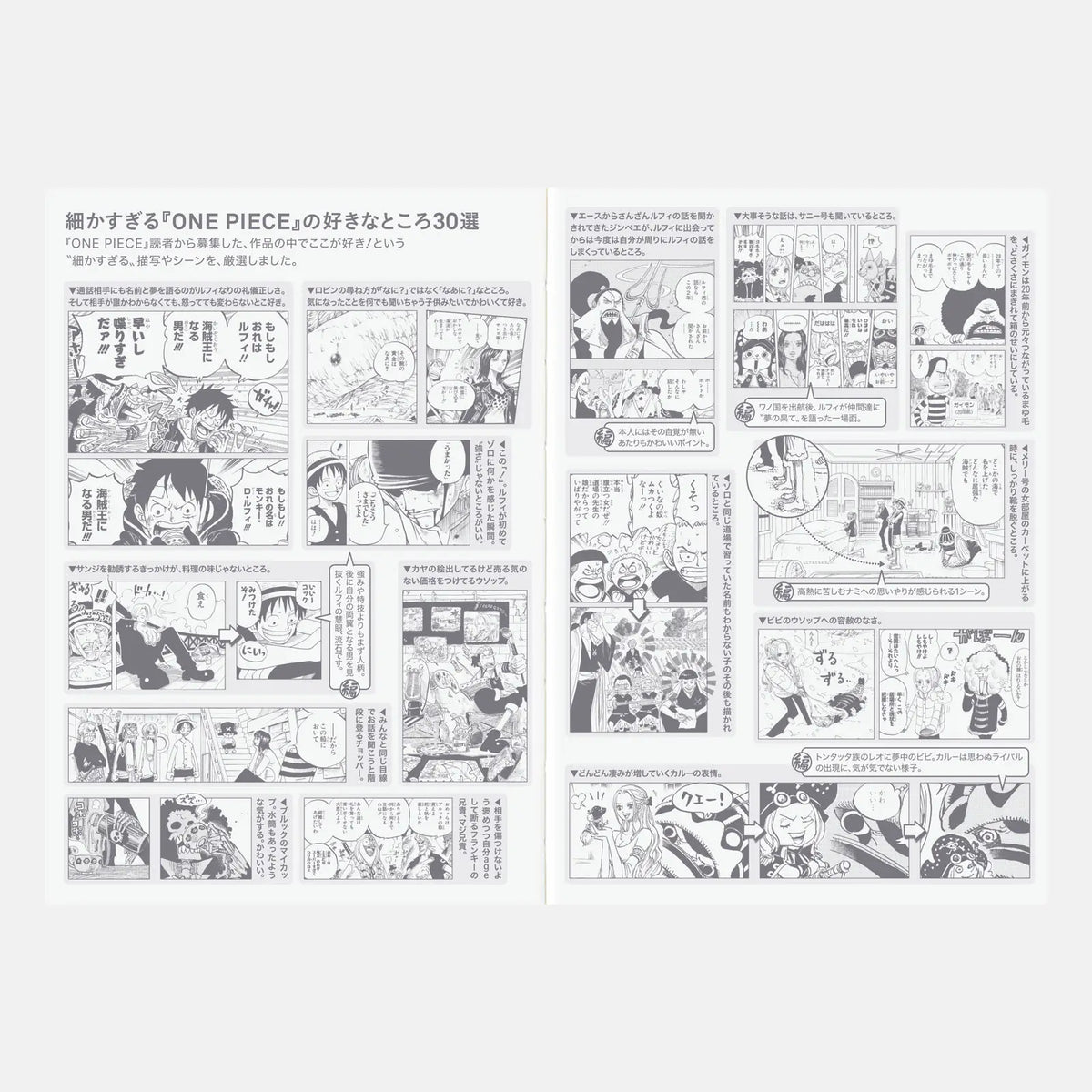 One Piece A6 - Original 2027 Daily Planner - official product view 9