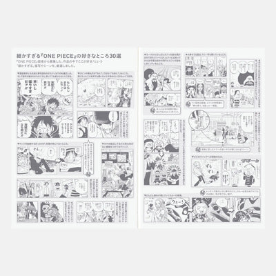 One Piece A6 - Original 2027 Daily Planner - official product view 9