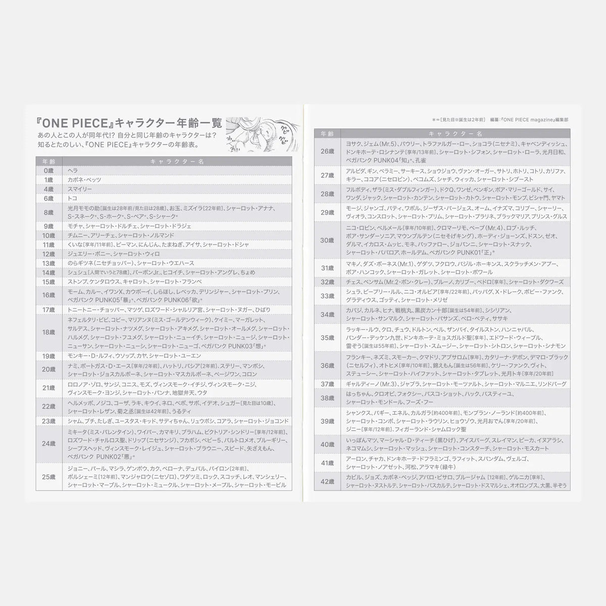 One Piece A6 - Original 2027 Daily Planner - official product view 10