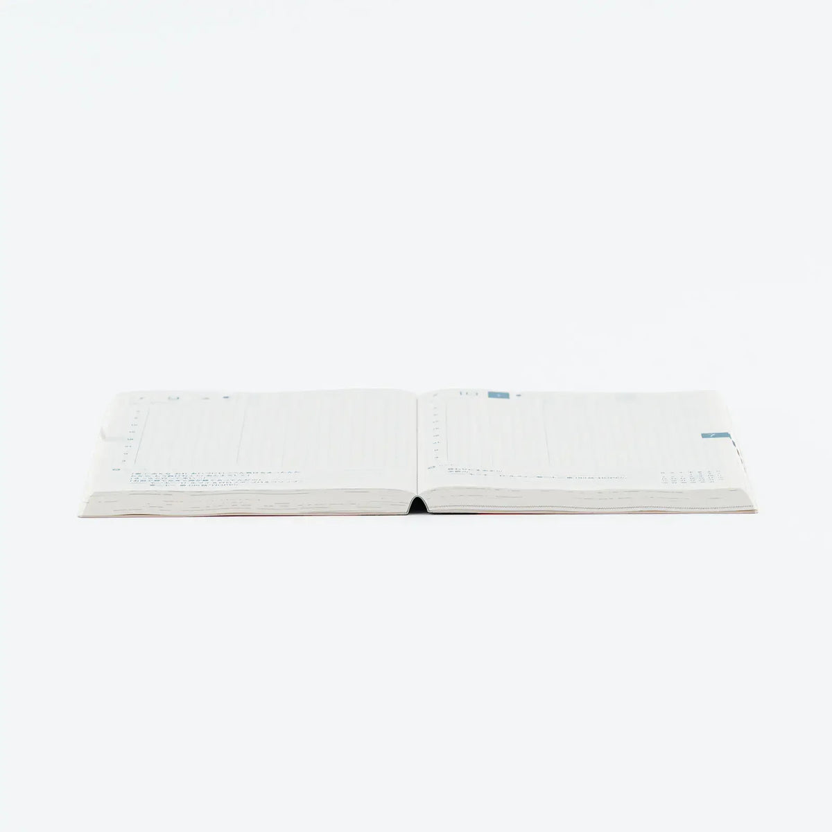 One Piece A6 - Original 2027 Daily Planner - official product view 15