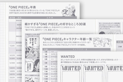 One Piece A6 - Original 2027 Daily Planner - official product view 21