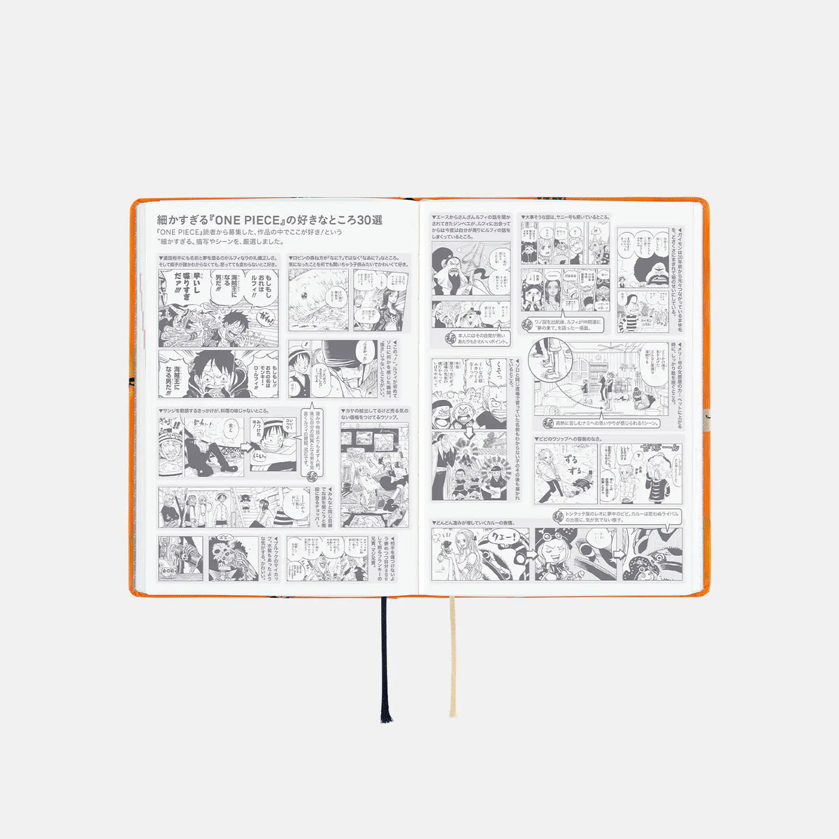 One Piece A6 - Very Very Merry! 2027 HON Daily Planner - official product view 10