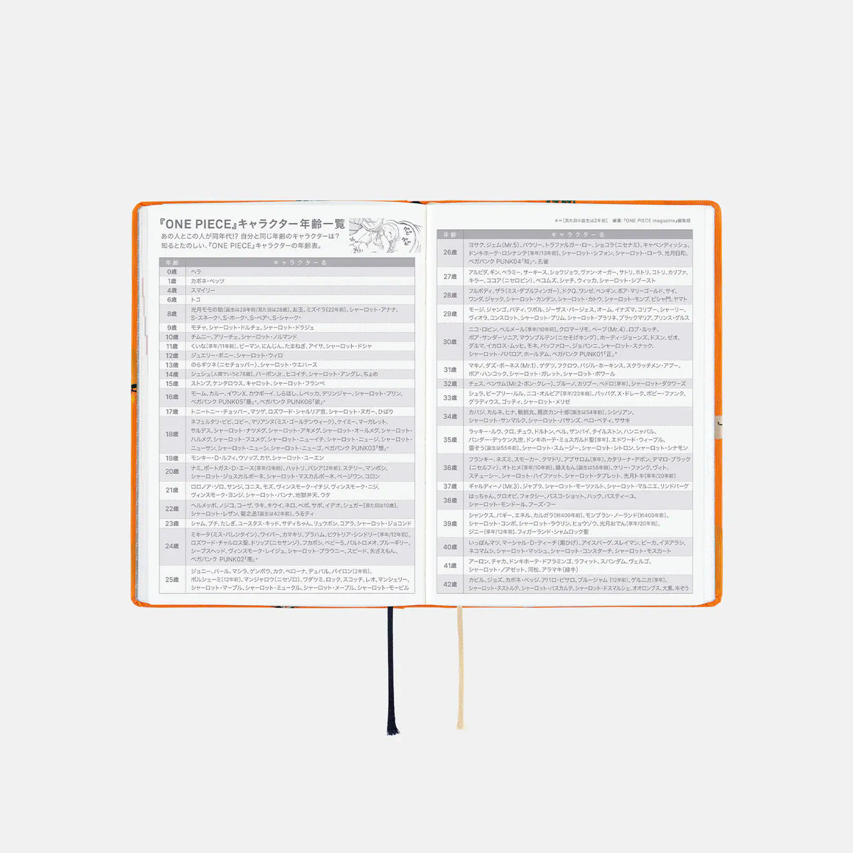 One Piece A6 - Very Very Merry! 2027 HON Daily Planner - official product view 11
