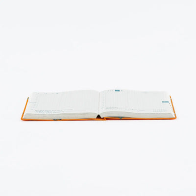 One Piece A6 - Very Very Merry! 2027 HON Daily Planner - official product view 13