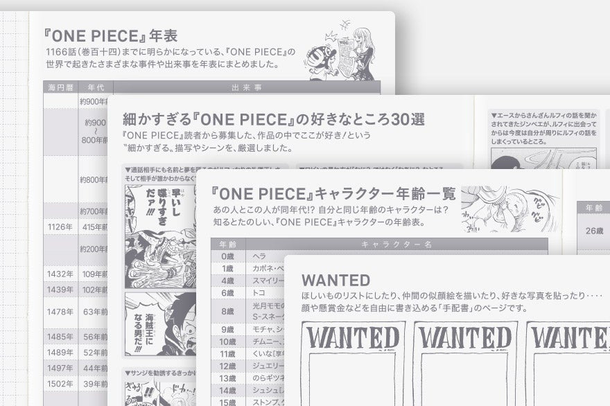 One Piece A6 - Very Very Merry! 2027 HON Daily Planner - official product view 22