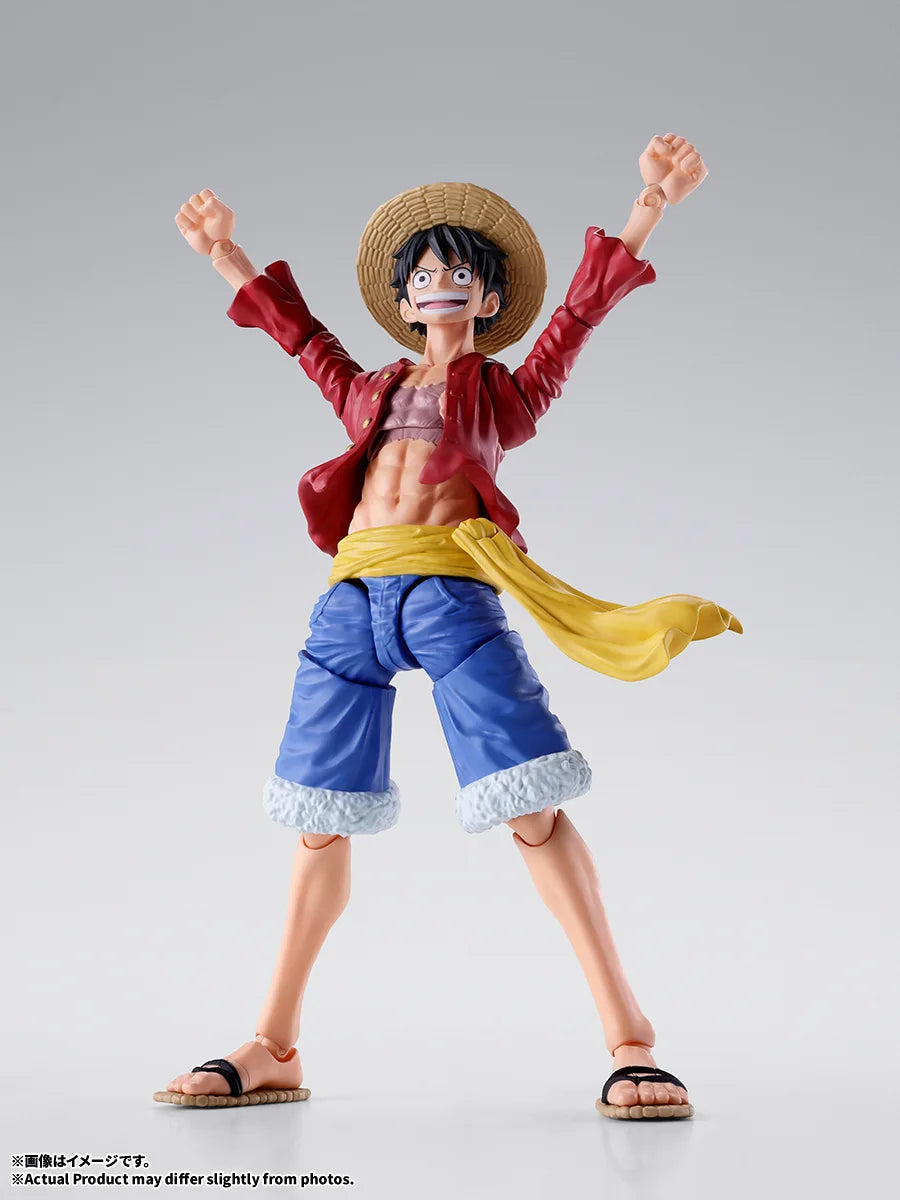 Monkey D. Luffy S.H.Figuarts Monkey D. Luffy New World official product photo 5