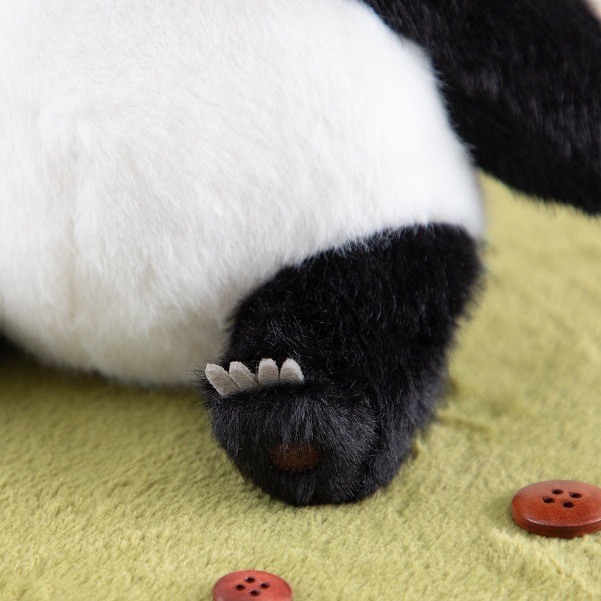 Panda! Go Panda! - Fluffy Papanda and Panny Plush (2 Types) - Panny - official view 13