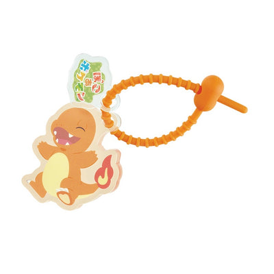 Pokemon Pokopia Acrylic Block with Silicone Band - Pokemon Designs (9 Types): Charmander