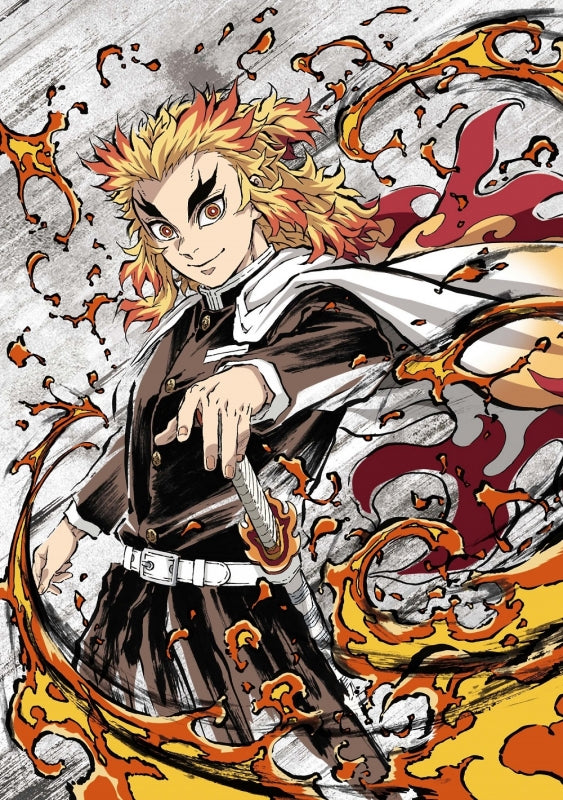 Demon Slayer: Kimetsu no Yaiba - Mugen Train TV Vol.1 - Limited Editio ...