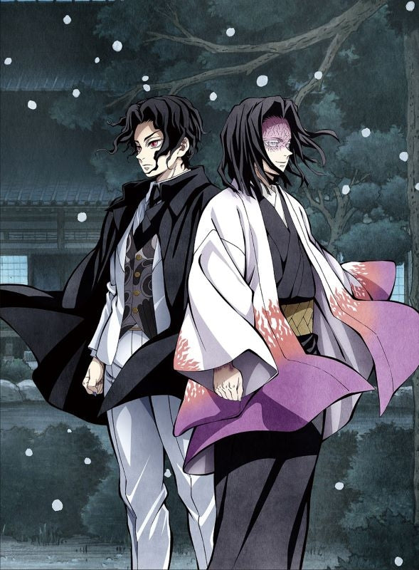 Demon Slayer: Kimetsu no Yaiba - Hashira Training Arc TV Vol.4 - Limited Edition - DVD, Japanese Edition - image 1