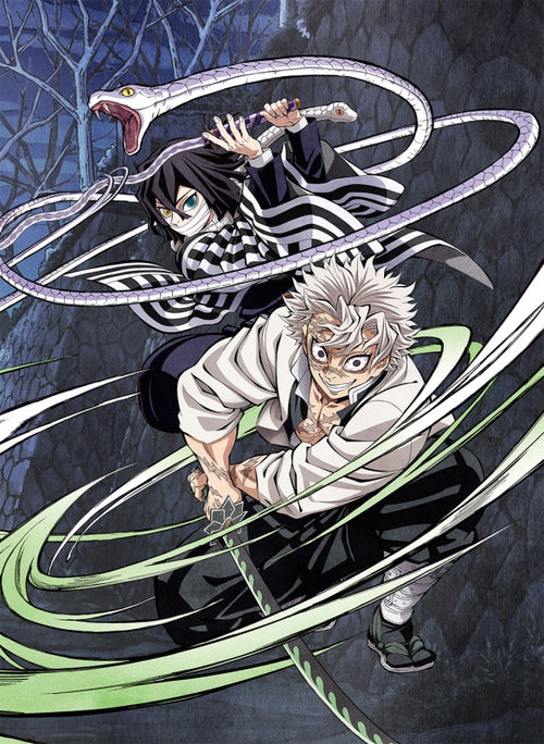 Demon Slayer: Kimetsu no Yaiba - Hashira Training Arc TV Vol.1 - Limit ...