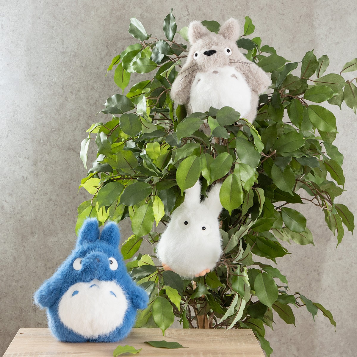 Studio Ghibli - Komorebi Plush Collection (6 Types) - Totoro - official view 6