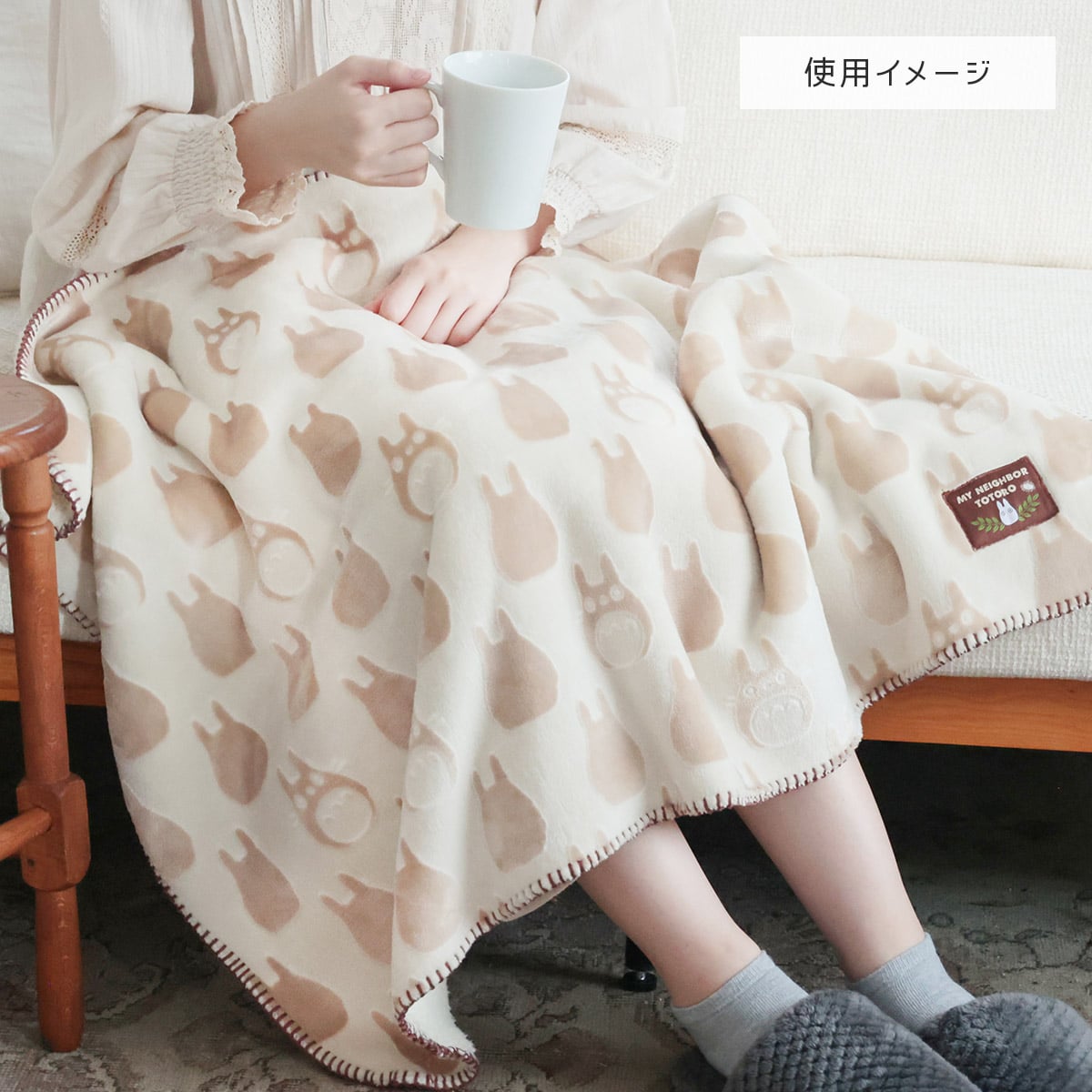 Studio Ghibli - Textured Opal-Finish Blankets (3 Types) - Totoro - official view 7