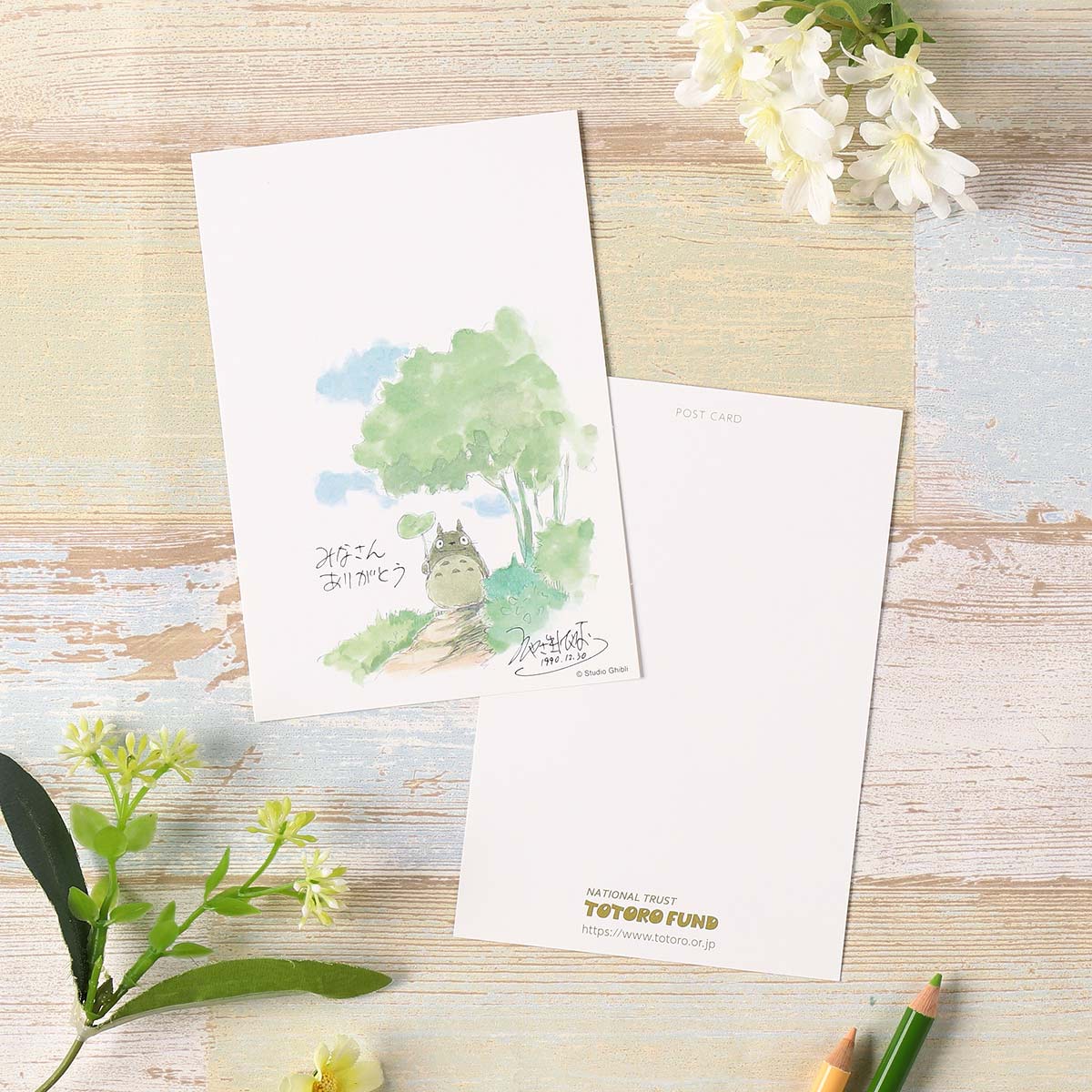 Totoro Fund Totoro Watercolour Postcards — Complete Set Of 6 Types - official view 2