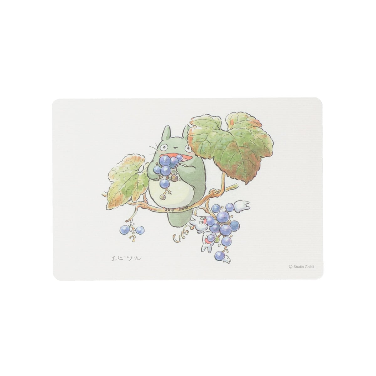 Totoro Fund Totoro Wildflower Postcards — Complete Set Of 5 Types - official view 6