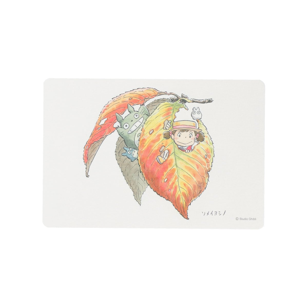 Totoro Fund Totoro Wildflower Postcards — Complete Set Of 5 Types - official view 7