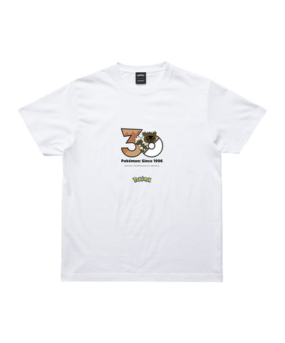 Zigzagoon - Official Product Image 1
